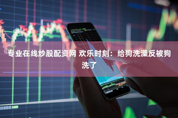 专业在线炒股配资网 欢乐时刻：给狗洗澡反被狗洗了