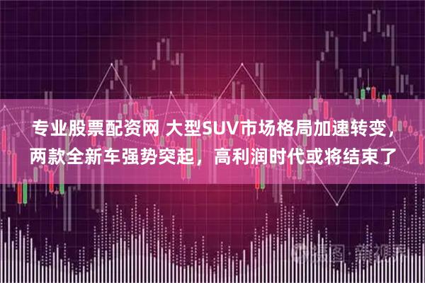 专业股票配资网 大型SUV市场格局加速转变，两款全新车强势突起，高利润时代或将结束了