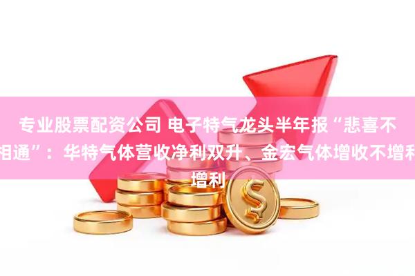 专业股票配资公司 电子特气龙头半年报“悲喜不相通”：华特气体营收净利双升、金宏气体增收不增利